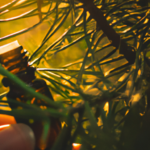 benefits-of-cedarwood-oil-in-aromatherapy.png