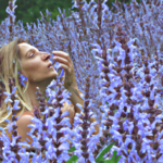 discover-clary-sage-benefits-and-uses.png