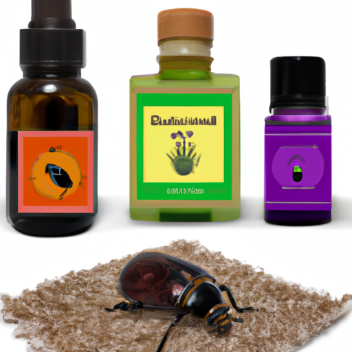 essential-oils-for-carpet-beetles.png