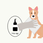 essential-oils-for-dog-bites.png