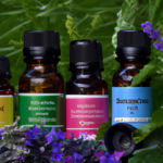essential-oils-for-inflammation-young-living.png