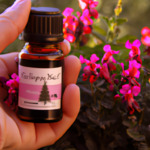 essential-oils-for-ovarian-cysts-young-living.png