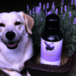 essential-oils-safe-for-dogs.png
