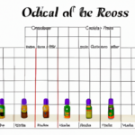 foot-reflexology-chart-for-essential-oils.png