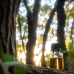 tao-essential-oils.png