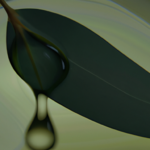 the-benefits-of-eucalyptus-oil-a-complete-guide.png