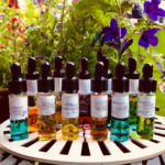what-are-the-best-aromatherapy-oils.png
