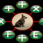 which-aromatherapy-oils-are-harmful-for-dogs.png