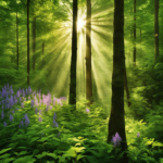 An image showcasing the serene beauty of a lush forest, with rays of sunlight filtering through the towering trees