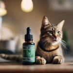 cats and essential oils