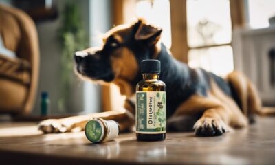 dogs and eucalyptus dangers