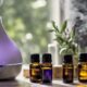 essential oils for humidifiers