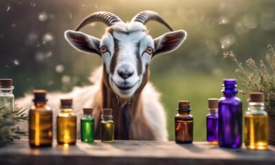 goat s wellness with oils