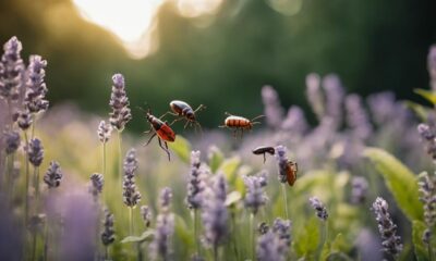 natural bug repellent oils