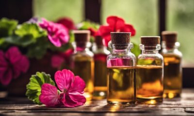 top geranium essential oils