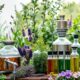 methods of extracting essential oils