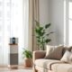 air purifiers with diffusers