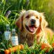 safe essential oils for dogs