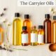 top carrier oils guide