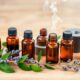 top essential oils guide