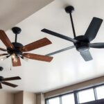 ceiling fans for everyone