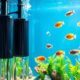 top aquarium filters 2025