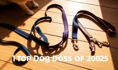 top dog leashes 2025