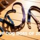 top dog leashes 2025