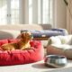 ultimate comfort dog beds