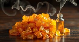 ancient resin modern applications