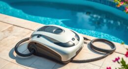 pool cleaner winter storage
