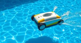 regular pool cleaner schedule