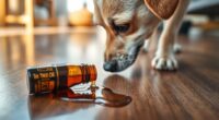 pet toxicity from tea tree