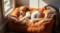 luxury heated pet beds