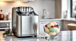 luxury home ice cream makers