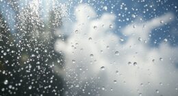 balancing humidity and diffusion