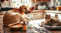preparing aromatic pet travel scents
