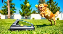 dog toy automatic launcher