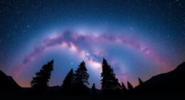 top wide field milky way lenses