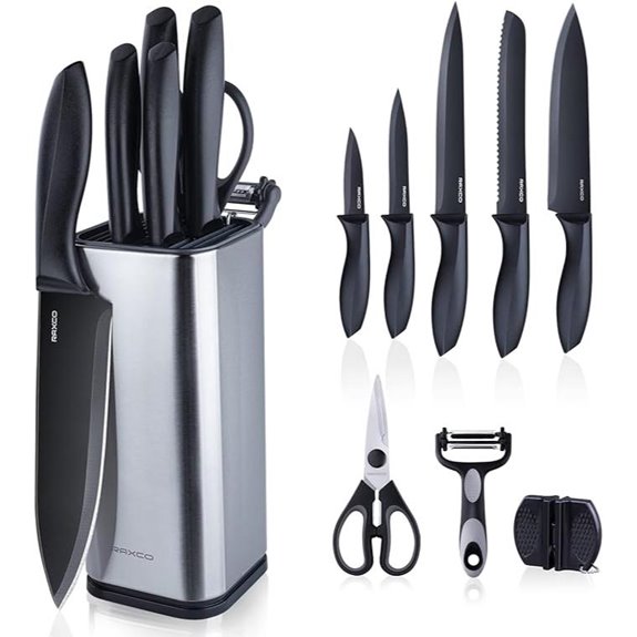 RAXCO 10-Piece Stainless Steel Kitchen Knife Set
