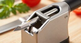 top knife sharpeners 2026