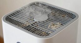 air purifier smell causes