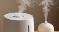 clarify humidifier and diffuser
