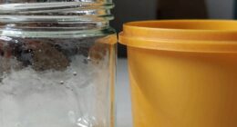 container material comparison