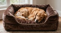 dog orthopedic bed indicators