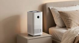 quiet bedroom air purifier options
