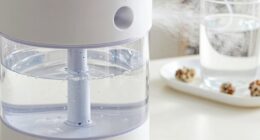 safe clean humidifier water