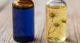 similarities between blue tansy and chamomile