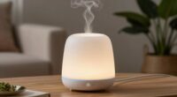 top cordless diffuser reviews
