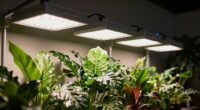 top indoor grow light systems